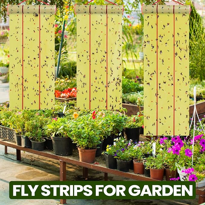 Qualirey 8 Rolls Giant Sticky Fly Traps 183 Feet Adhesive Fly Paper Fruit Traps Outdoor Indoor Strips Sticky Hanging Tapes Gnat Bug Catcher Pest Killer for Garage Greenhouse Barn Stable