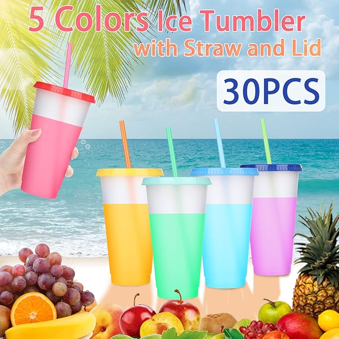 Honeydak 30 Pack Tumbler with Straw and Lid Bulk Cups for Gifts Water Bottle Iced Coffee Travel Mug Cup Reusable Plastic Tumblers for Party Birthdays 24-27 oz (Stylish Color)
