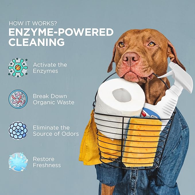 Stuart Pet Supply Co. Professional Strength Pet Odor Eliminator | Urine Odor Remover | Pet Urine Enzyme Cleaner | Pet Stain and Odor Remover | Enzymatic Cleaner for Dog Urine and Cat Urine