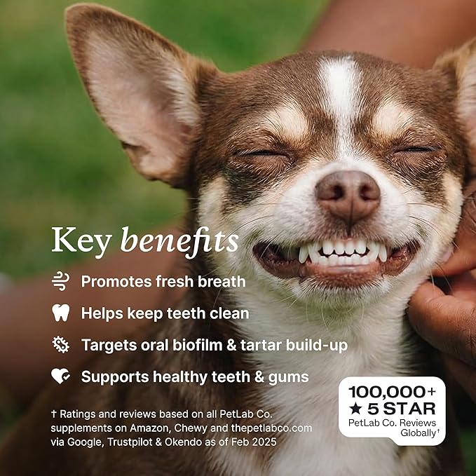 PetLab Co. ProBright Dental Powder - Dog Breath Freshener - Teeth Cleaning Made Easy – Targets Tartar & Bad Breath - Formulated for Medium Size Dogs - Packaging May Vary