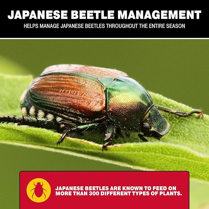 Catchmaster Japanese Beetle Traps Outdoor 6PK, Flying Insect Trap Bag with Lid & Dual Pheromone Food Lure, Hanging Bug Catcher Pest Control for Backyard & Garden, Plants, Trees, Vegetables & Flowers