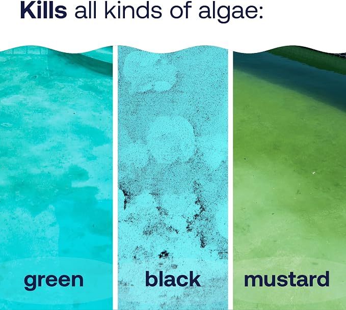 HTH 67089 Swimming Pool Care Algae Guard Ultra, Swimming Pool Chemical, Long Lasting Formula, 32 fl oz