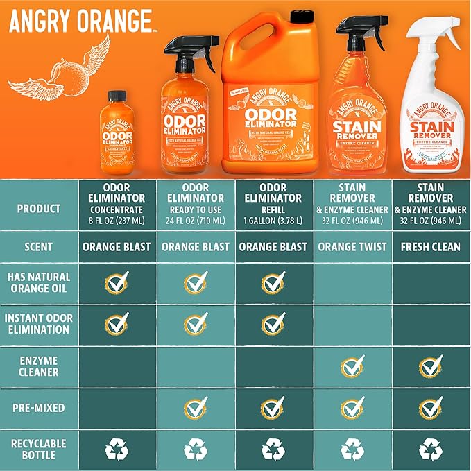 ANGRY ORANGE Fresh Scent and Citrus Stain Remover Bundle, 64 Fl Oz (Pack of 1)