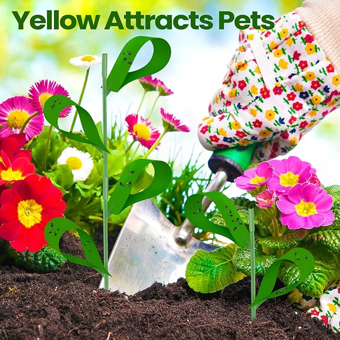 Qualirey 300 Pcs Sticky Houseplant Traps Fungus Gnat Fruit Fly Trap Sticky Houseplant Stakes Insect for Outdoor Garden Aphids, Whiteflies, Fruit Flies, Fungus Gnats, and Other Insects (Green)