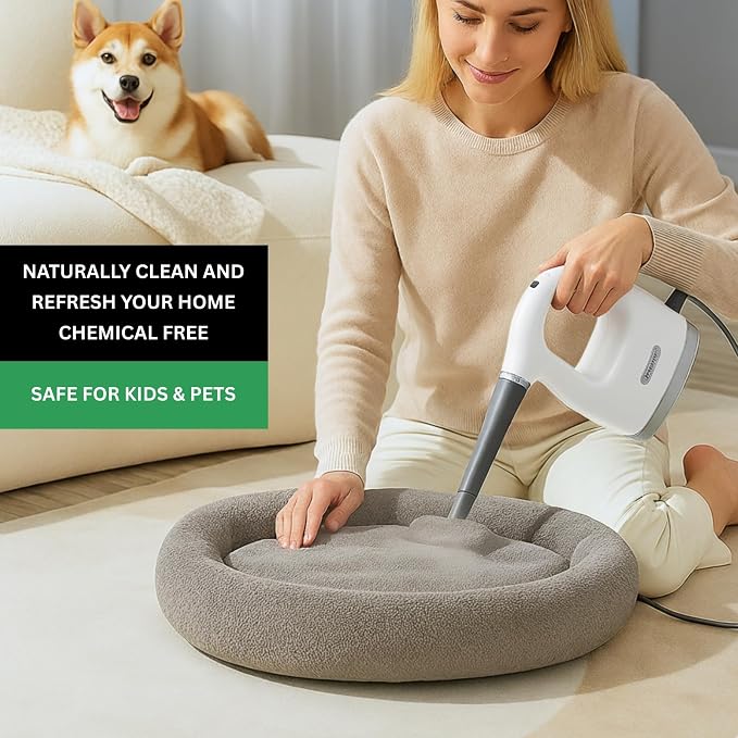 SALAV® CleanSteam Compact Steam Cleaner Pressurized Multi-Surface Handheld Steamer w/11pc Accessories, Safety Lock No-Drip Fast Heat Time Unlimited Use, for Cleaning Windows, Tiles, Grout, Car (White)