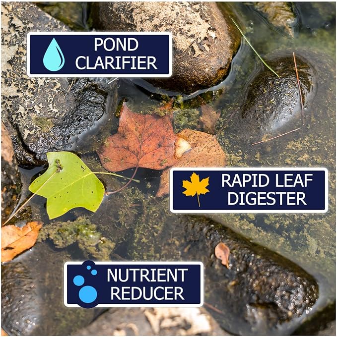 WinterKleen Fall & Winter Bacteria for Ponds | Koi Pond Winterizer, Leaf Digester, Natural Cleaner - Powerful Concentrated Enzymes and Microbes Clean Pond Water