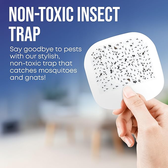EverOne Indoor Fly Trap 2-Pack with 6 Glue Cards – Dual Device Flying Insect Trap for Home – Bug Catcher and Mosquito Killer – Sticky Traps for Flies, Gnats, and Moths