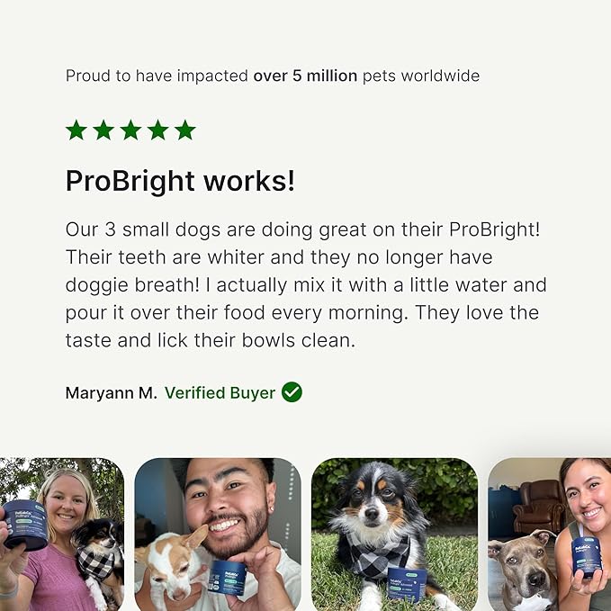 PetLab Co. ProBright Dental Powder - Dog Breath Freshener - Teeth Cleaning Made Easy – Targets Tartar & Bad Breath - Formulated for Medium Size Dogs - Packaging May Vary
