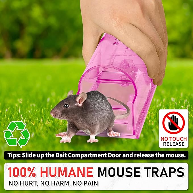 LULUCATCH Humane Mouse Traps 2 Pack | Live No Touch Catch and Release No Kill Rodent Traps | Reusable with Cleaning Brush | Pet Safe Indoor Outdoor for Mice, Rats, Chipmunks, Voles, Pink
