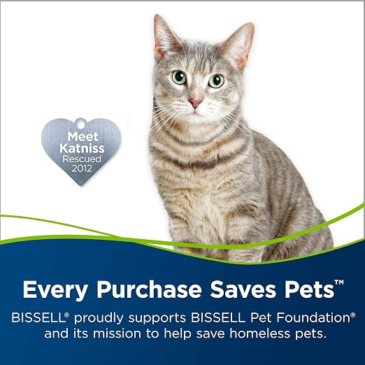 Iron OUT Automatic Toilet Bowl Cleaner, Repel Rust and Hard Water Stains with Every Flush & Bissell Professional Pet Urine Elimator with Oxy and Febreze Carpet Cleaner Shampoo 48 Ounce