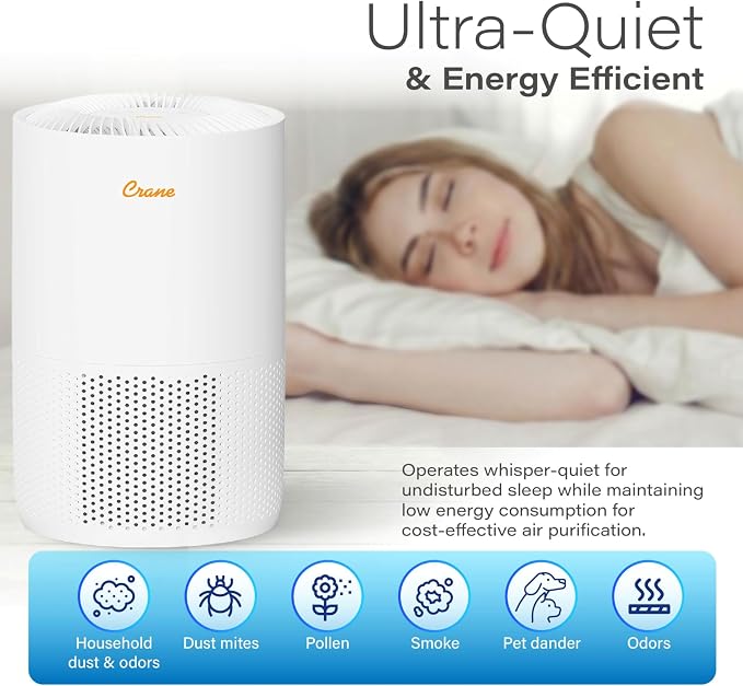 Crane True HEPA Air Purifiers for Home, Up To 300 Sq Ft, Air Purifiers For Bedroom, and Office, Removes Dust, Smoke, Pet Dander, and Allergens, Purifier HEPA with Sleep Timer, Child Lock, Filter Alert
