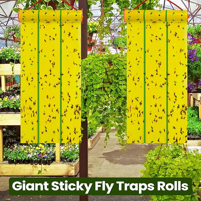 Qualirey Giant Sticky Fly Traps, Fly Strips for Indoor Outdoor Hanging Flying Tapes Non Toxic Ribbon Fruit Gnat Killer for Mosquito Plants House Horse Stable(30 ft,Yellow and Green,10 Pcs)
