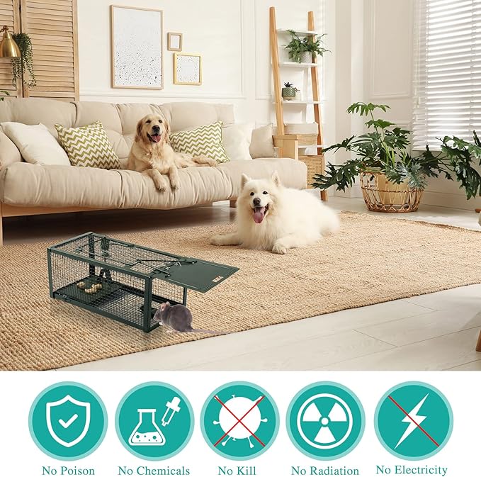 Qualirey 2 Pcs Live Rat Trap Humane Mouse Trap Mice Rat Cage Work for Small Animal Indoor and Outdoor Mouse Voles Hamsters Catch and Release(Green)