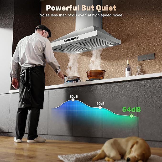 24 Inch Range Hood, Ducted/Ductless Range Hood 450CFM, Wall Mount Kitchen Hood in Stainless Steel, Gesture Sensing & Touch Control, 3 Speed Fan, 2 Pcs Baffle Filters