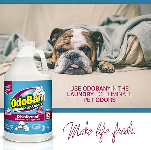 OdoBan Disinfectant Concentrate and Odor Eliminator, Made in the USA, Cotton Breeze Scent, 4 Gallons