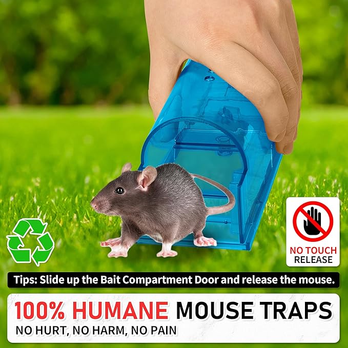 LULUCATCH Humane Mouse Traps 2 Pack | Live No Touch Catch and Release No Kill Rodent Traps | Reusable with Cleaning Brush | Pet Safe Indoor Outdoor for Mice, Rats, Chipmunks, Voles, Blue
