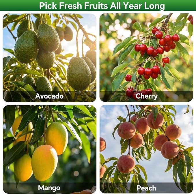Walensee 13FT Fruit Picker Pole with Basket, 35-158 Inch Adjustable Mango Picker Tool, Stainless Steel Telescoping Cherry Picker for Tree, Apple Pear Lemon Orange Avocado Picking