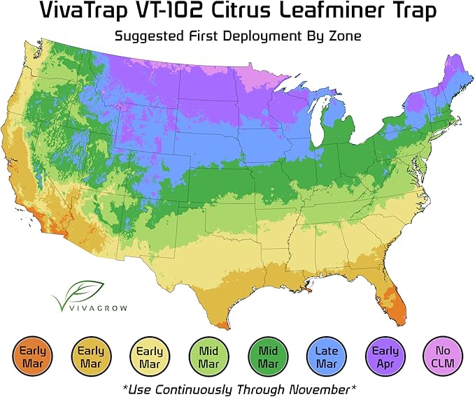 VivaTrap VT-102 Citrus Leafminer Trap & Lure (2 Pack, 8 Week)