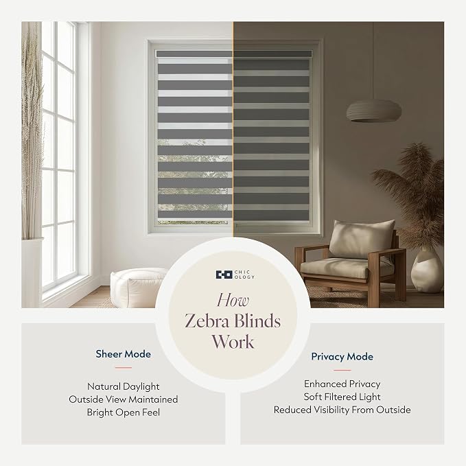CHICOLOGY Zebra Blinds Cordless Window Shades, Dual Layer Light Filtering Roller Shades for Windows, Sheer Privacy Striped Fabric, Easy Install, 20"W x 72"H, Basic Slate