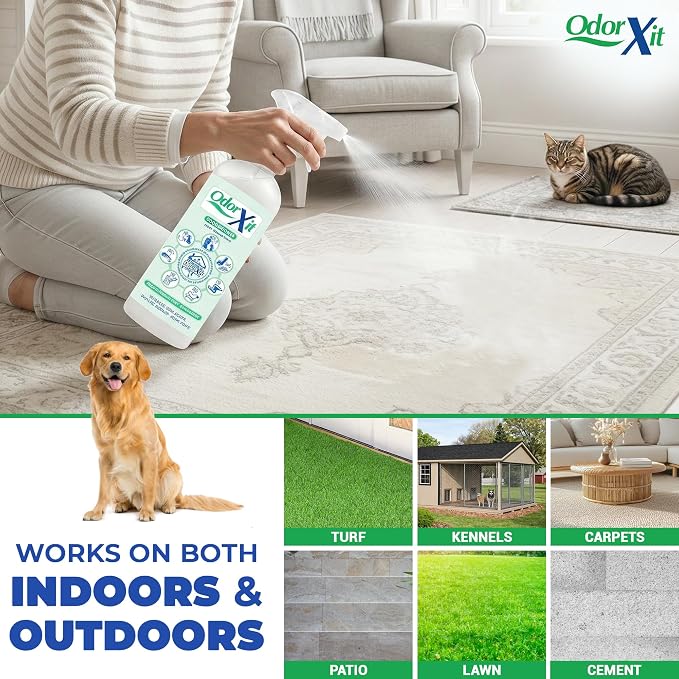 Pet Urine Odor Eliminator Spray, Ideal for Cat, Dog Poo and Urine Smell, Versatile & Natural Odor Neutralizer for Home and Outdoor Use, Ready to Use, 16oz