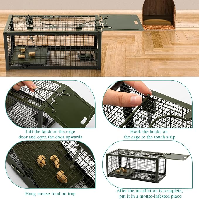 Qualirey 2 Pcs Live Rat Trap Humane Mouse Trap Mice Rat Cage Work for Small Animal Indoor and Outdoor Mouse Voles Hamsters Catch and Release(Green)