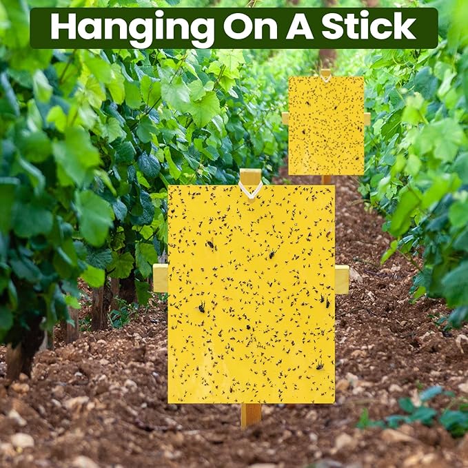 Qualirey 500 Pcs 6x8 Inch Yellow Sticky Traps for Gnats, Dual-Sided Sticky Gnat Traps for Indoor Outdoor, Fly Catcher for Fungus Gnats, Fruit Flies, Whiteflies– Bulk Pack with Twist Ties