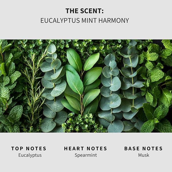 Lapew Eucalyptus Mint Scented Mop Soap - Luxury Floor Cleaner Concentrate for Mopping Tile, Laminate, Vinyl & Hardwood | Streak-Free, Low-Foam | 36 oz