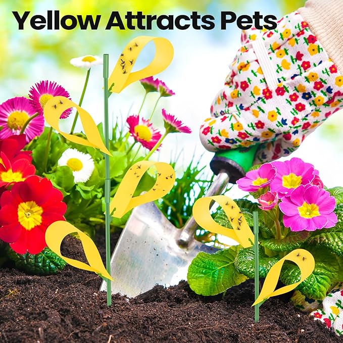 Qualirey 300 Pcs Sticky Houseplant Traps Fungus Gnat Fruit Fly Trap Sticky Houseplant Stakes Insect for Outdoor Garden Aphids, Whiteflies, Fruit Flies, Fungus Gnats, and Other Insects (Yellow)