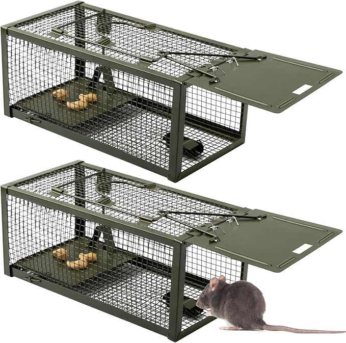 Qualirey 2 Pcs Live Rat Trap Humane Mouse Trap Mice Rat Cage Work for Small Animal Indoor and Outdoor Mouse Voles Hamsters Catch and Release(Green)
