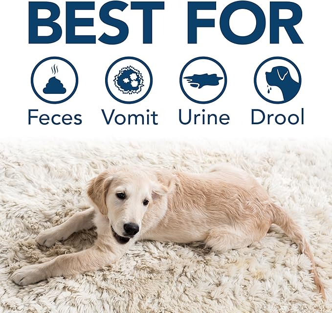 Simple Solution Stain & Odor Eliminator for Pets, Carpet Deodorizer, Enzyme Pet Odor Eliminator for Home, Stain Remover for Cat & Dog Pee, Urine Destroyer, Carpet Cleaner Spray, Gallon