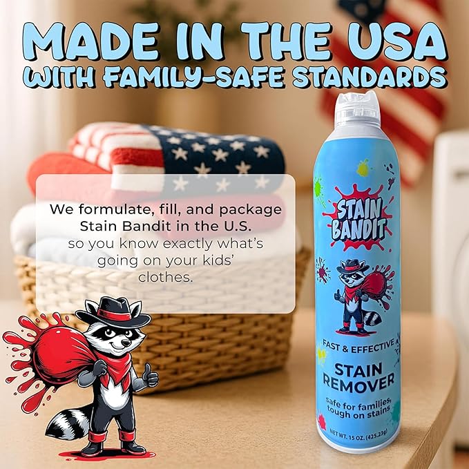 Stain Remover Spray | Non-Toxic Stain Remover Family Safe Formula | Bag-On-Valve 360° Continuous Spray Bottle | Cleaner for Clothes, Upholstery, Carpet & Car Seats 15 Oz, (Pack of 1)