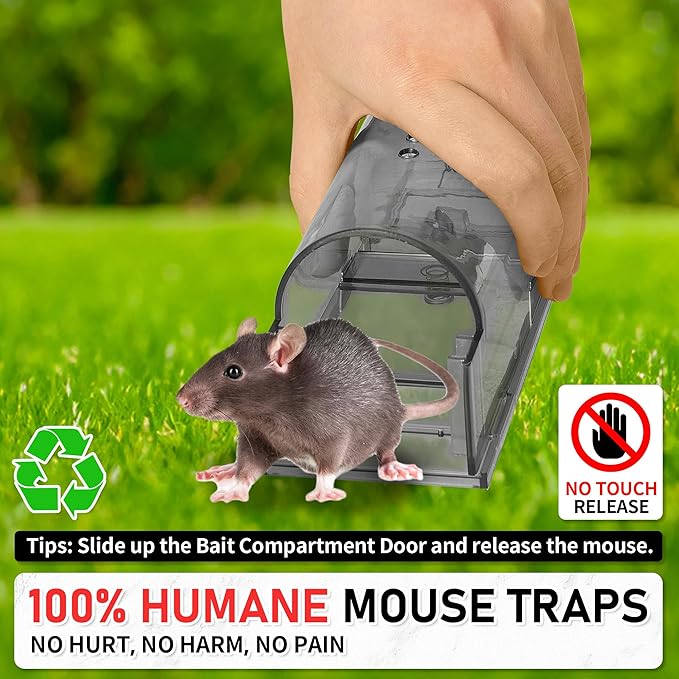 LULUCATCH Humane Mouse Traps 2 Pack | Live No Touch Catch and Release No Kill Rodent Traps | Reusable with Cleaning Brush | Pet Safe Indoor Outdoor for Mice, Rats, Chipmunks, Voles, Grey