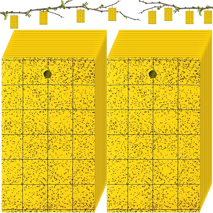 Qualirey 150 Pcs 6'' X 8'' Sticky Trap for Gnats Dual Side Sticky Fruit Fly Trap with Tie Plant for Flying Insect Fungus Bugs Flying Catcher for Indoor