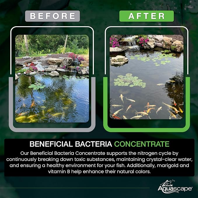 Aquascape Dry Beneficial Bacteria for Pond and Water Features, 8.8 Ounce (Pack of 1), 98948 , white