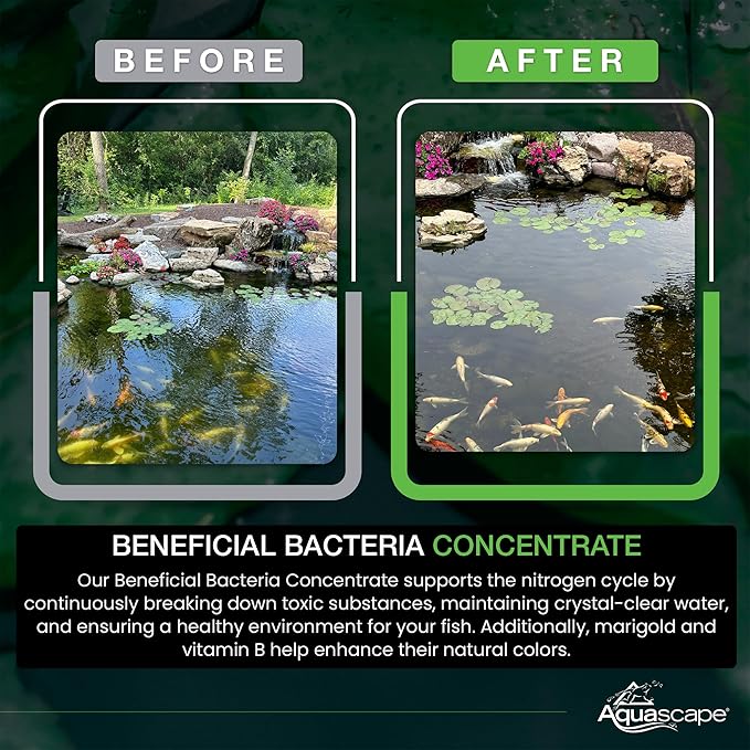 Aquascape 98950 Beneficial Bacteria Water Treatment Dry - 3.2 kg/7 lbs for Pond Water Feature Waterfall | Provides Clean, Clear and Healthy Water Conditions and Reduces Pond Maintenance
