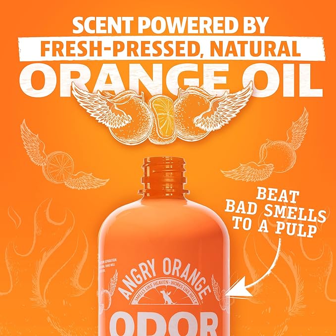 ANGRY ORANGE Pet Odor & Stain Remover - Orange Rush Scent - 24oz Odor Eliminator + 32oz Enzyme Cleaner for Dog & Cat Urine, Carpet Stains & Strong Smells