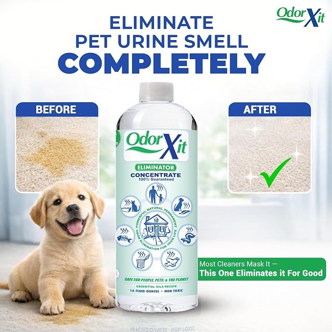 Concentrated Pet Urine Odor Eliminator, Ideal for Cat, Dog Poo and Urine Smell, Versatile & Natural Odor Neutralizer for Home and Outdoor Use, Deodorizer & Absorber, Concentrate, 16oz