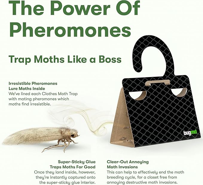 BugMD Clothes Moth Boss Traps (18 Count, Black) and Pantry Pest Patrol (18 Count, Black) Bundle