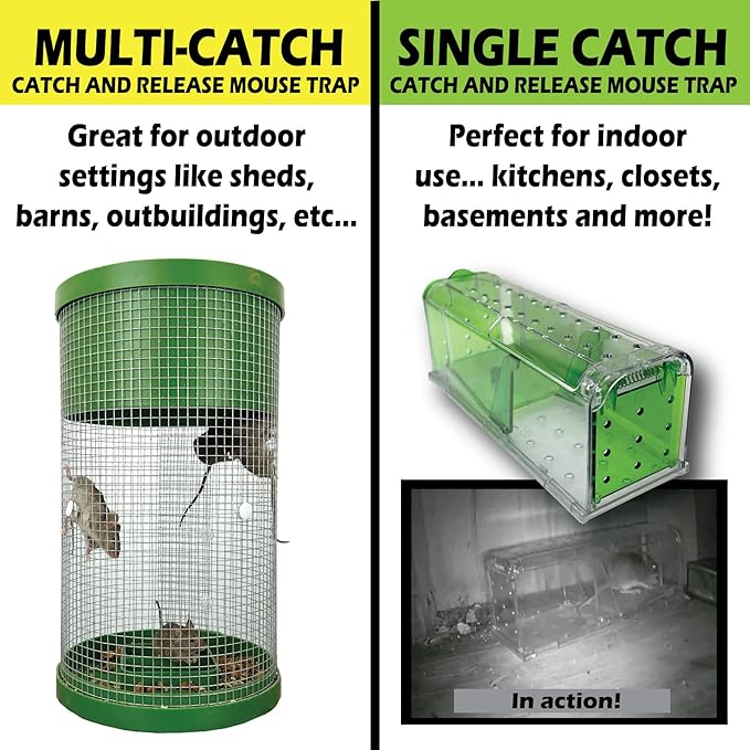 Billy Bob Humane Indoor/Outdoor Catch and Release Mouse Trap Bundle