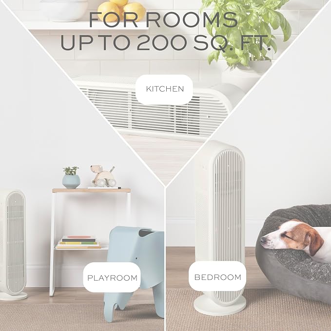 Conair Air Purifier, HEPA Air Filter, Purifier for Allergies, Dust, Pollen, Odor Control,Medium Sized Rooms up to 200 Sq. Ft.