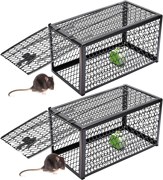 Qualirey 2 Pcs Humane Rat Trap Chipmunk Rodent Mouse Squirrel Trap 11 x 6 x 6 Inches Small Live Animal Mouse Voles Hamsters Live Cage Rat Cage for Mice Easy to Catch and Release, Black