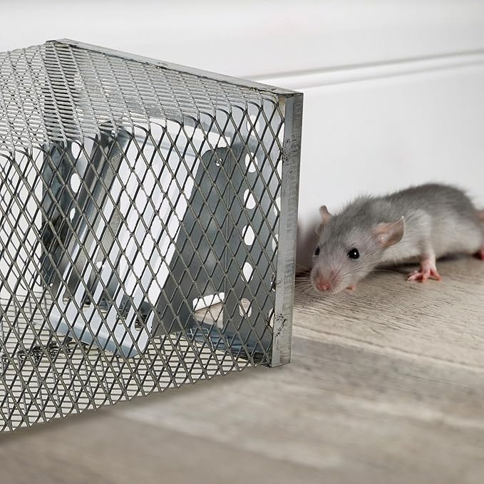 4 Pcs Humane Rat Trap Live Chipmunk Cage Trap for Indoor and Outdoor Small Rodent Animal Mouse Vole Chipmunk Hamsters Live Cage, Catch and Release (Closed)