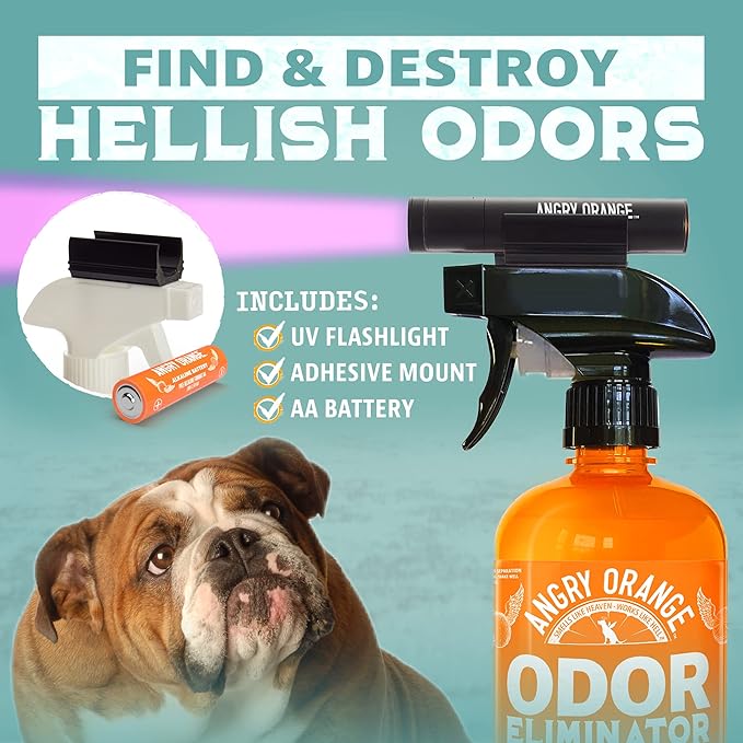 Angry Orange Pet Urine Detection & Odor Elimination Bundle – UV Black Light Flashlight + Citrus Powered Odor Eliminator Concentrate for Dog & Cat Urine, Carpets & Upholstery