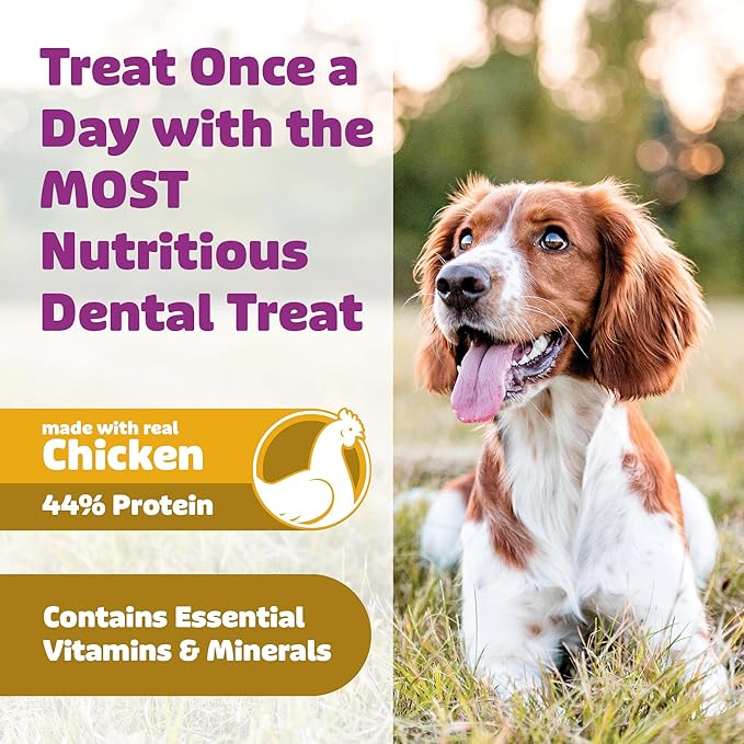 Yummy Combs Dog Dental Treats – Vet VOHC Approved – Delicious Chicken Protein – Removes Tartar with Cleaning Comb Shape – Dental Dog Treats for Medium Dogs (36oz, 45 Count)
