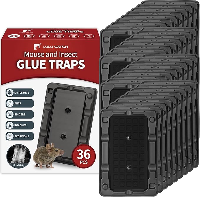 LULUCATCH Mouse & Insect Traps 36 Pack, Heavier Sticky Traps with Non-Toxic Glue for Small Mice & Insects. Sticky Mouse Traps Indoor for Home, Easy to Set