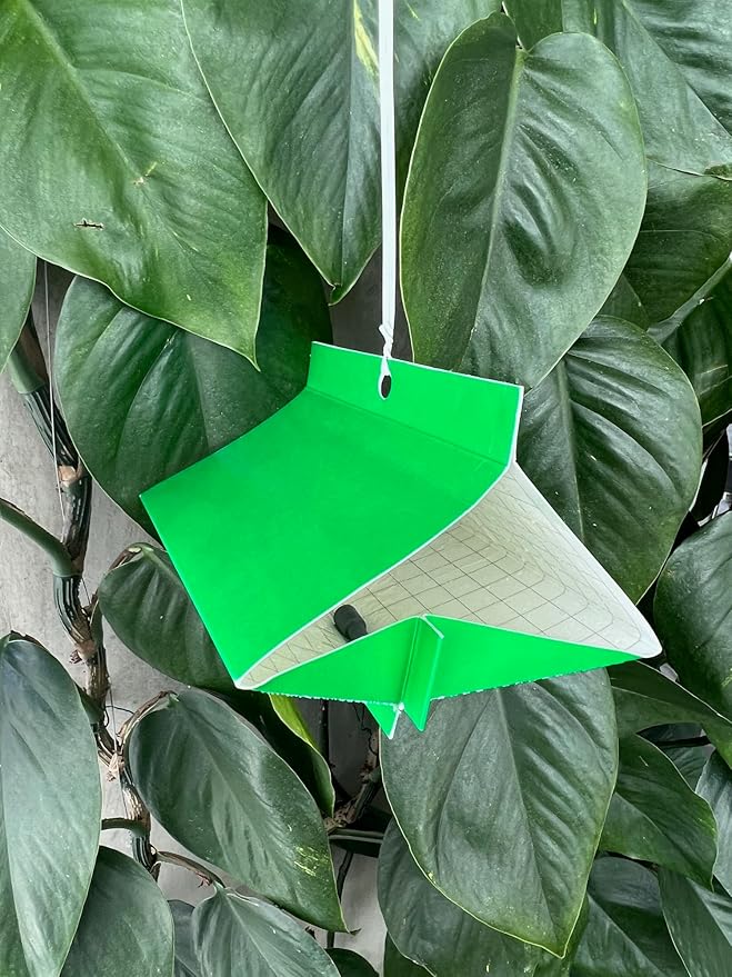 VivaTrap VT-102 Citrus Leafminer Trap & Lure (2 Pack, 8 Week)