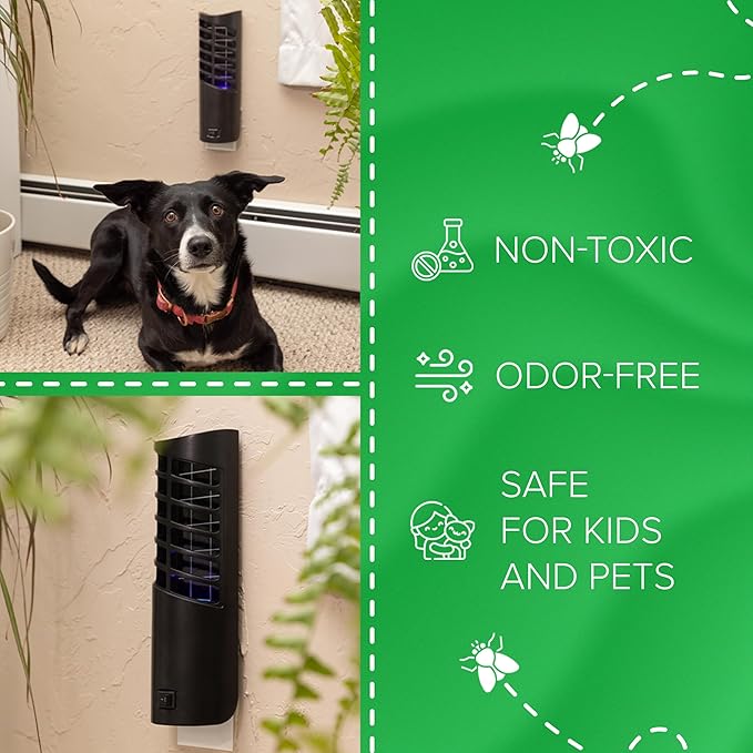 Large Plug in Insect Trap by EcoPro Pest Control, UV Light Plug in Bug Trap | Quiet Indoor Flying Insect Trap, No Toxic Chemicals | Electronic Fly Trap Comes with 4 Refills (2 Devices - 4 Refill Pack)