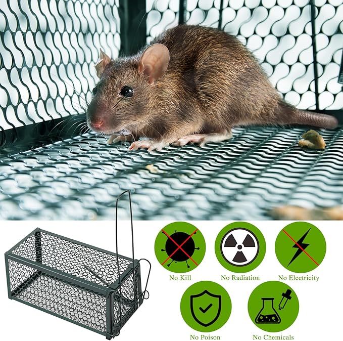 Qualirey 2 Pcs Humane Rat Trap Chipmunk Rodent Mouse Squirrel Trap 9.1 x 4.5 x 4.5 Inches Live Animal Mouse Voles Hamsters Live Cage Rat Cage for Mice Easy to Catch and Release (Green)