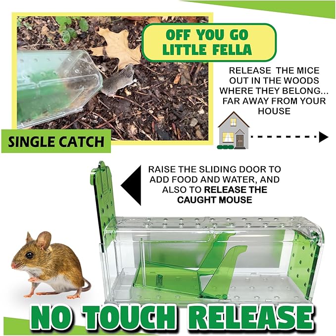 Billy Bob Humane Indoor/Outdoor Catch and Release Mouse Trap Bundle