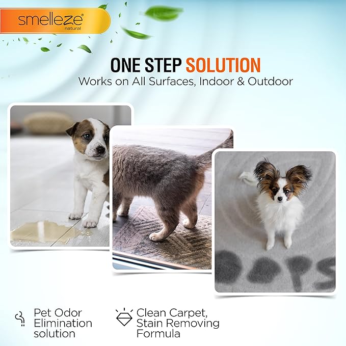 SMELLEZE Pet Pee Powder - Unscented Urine Solidifier for Dog & Cat Accidents - 2 lb Bottle, Handles up to 360 Messes per Bottle - Absorbs 1.5 Cups per Teaspoon in 60 Seconds